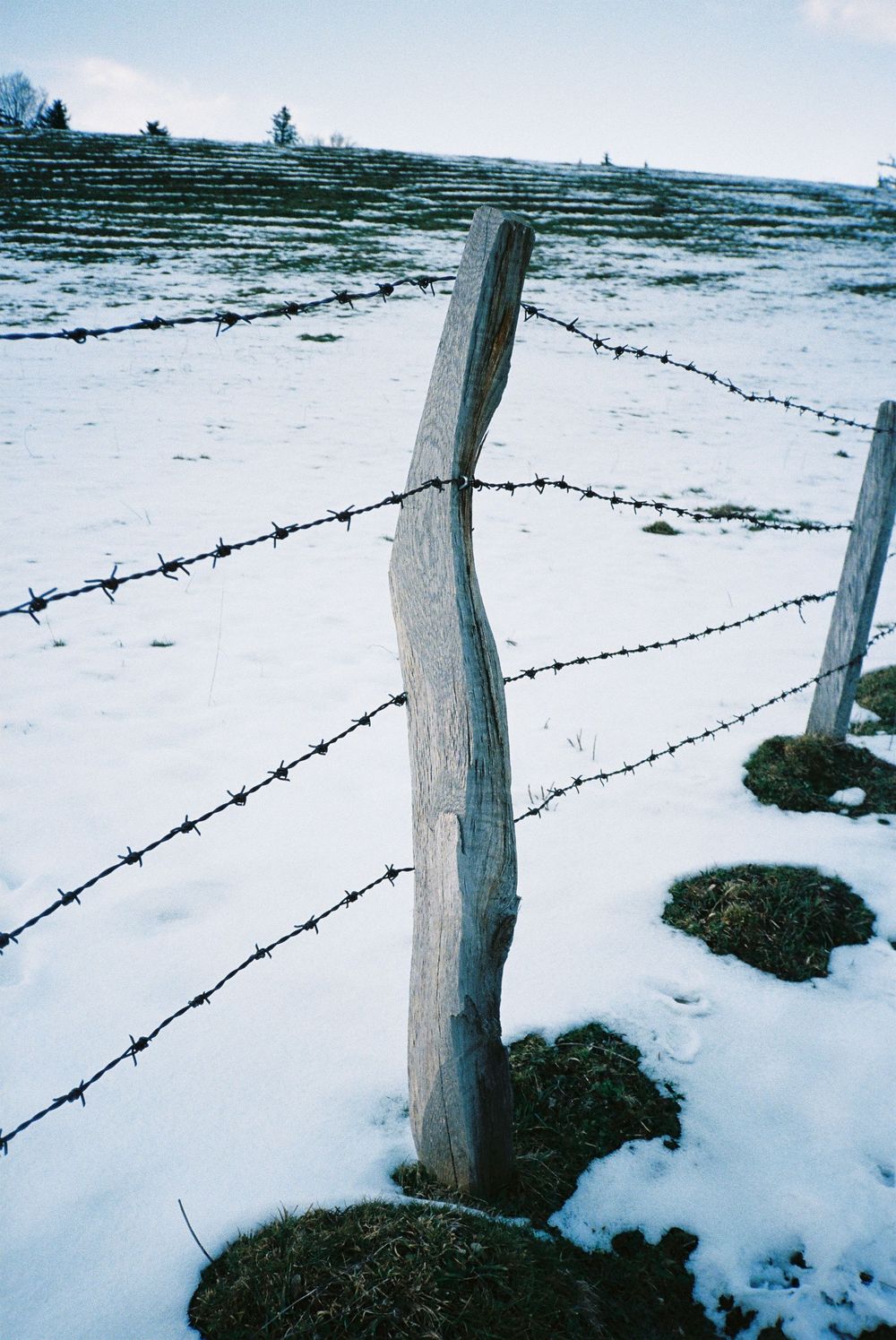 analogue, photography, patricia neuhauser