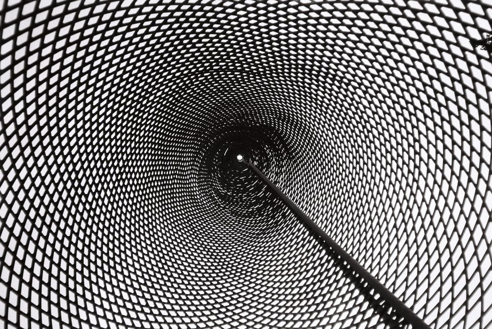 analogue, photography, patricia neuhauser