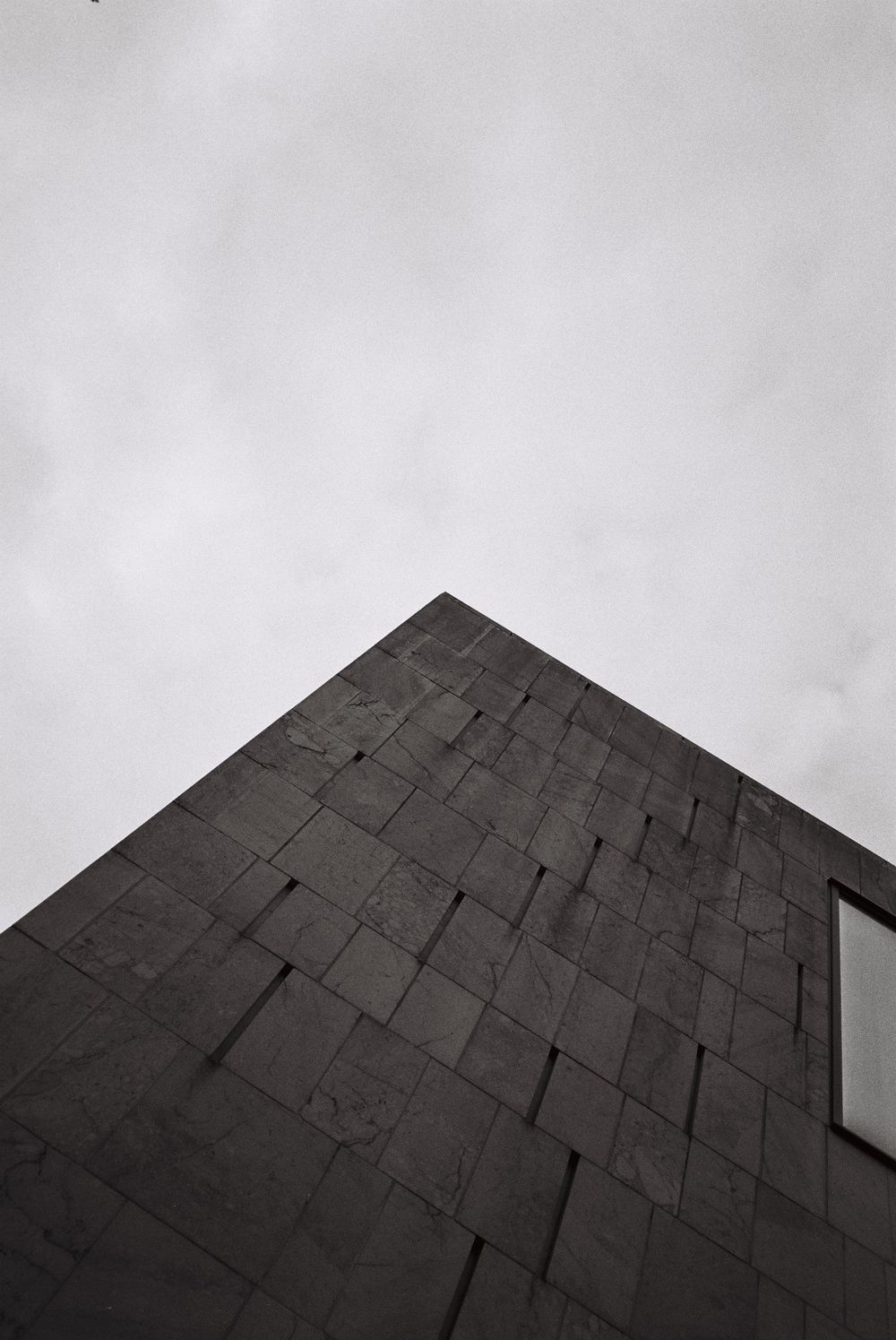 analogue, photography, patricia neuhauser