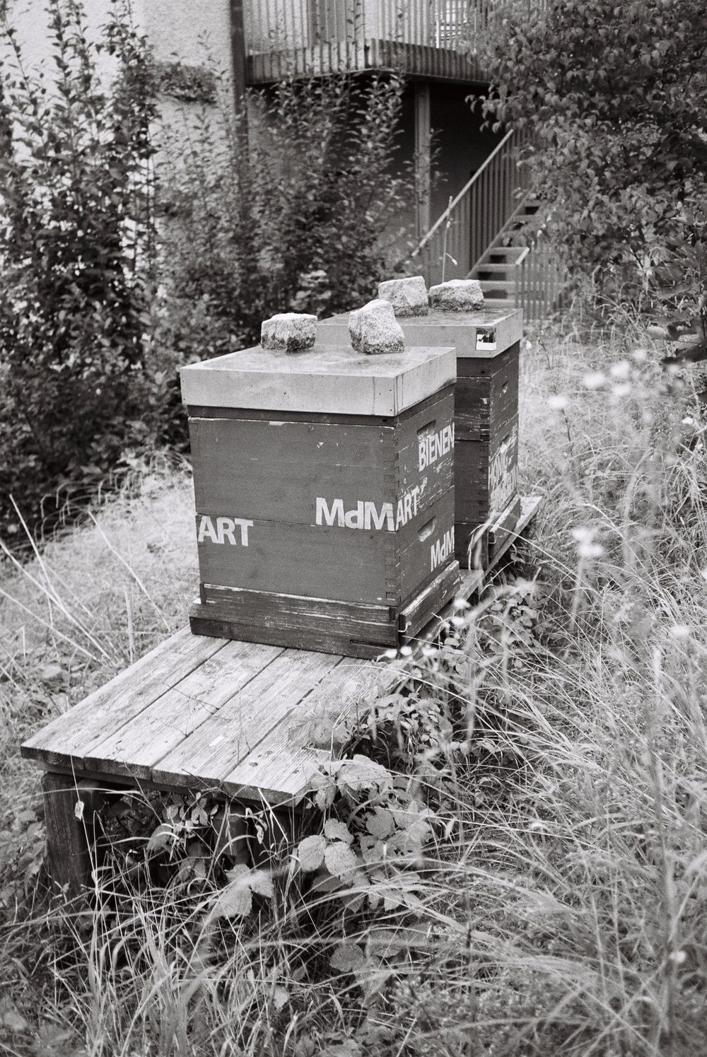 analogue, photography, patricia neuhauser