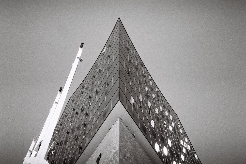 analogue, photography, patricia neuhauser