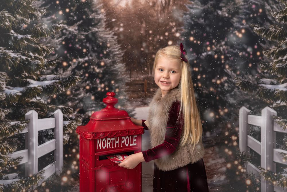 Christmas 2024, photo shoot, snow, christmas trees