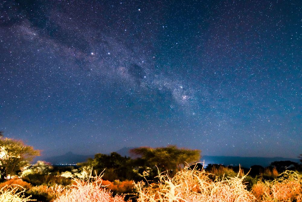 Part of the Milky Way galaxy and night sky over the African bush lit up by urban lights.