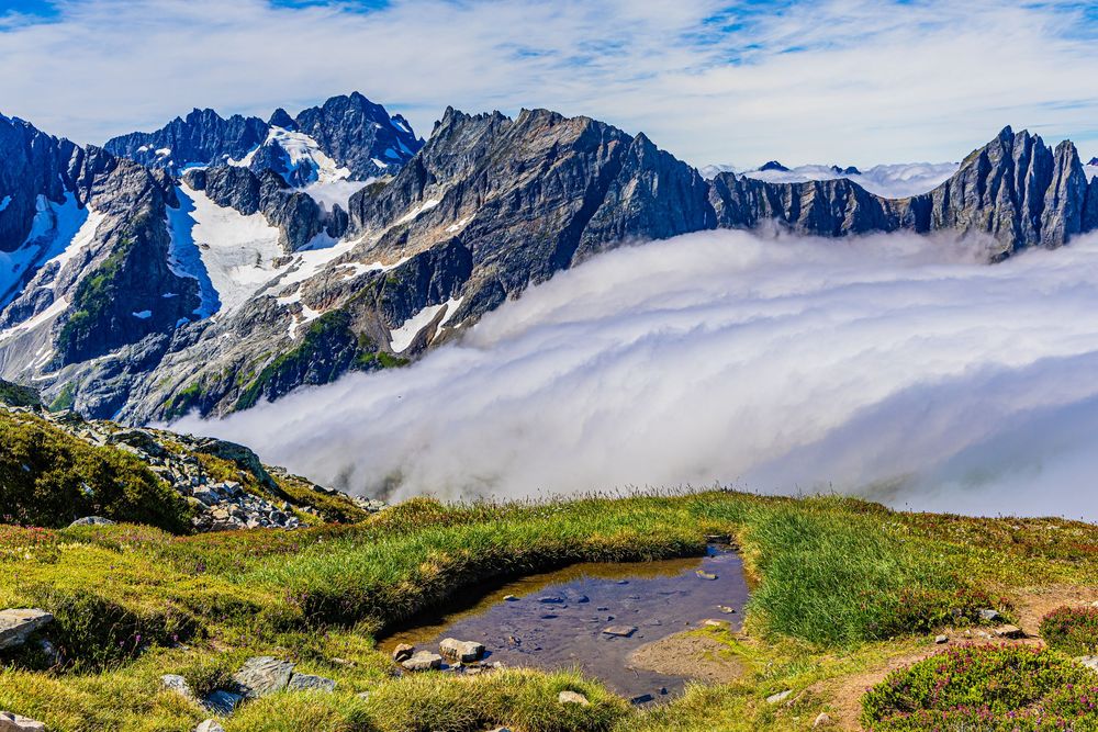 Mountain range with glaciers, partially covered by a cloud deck with a grassy meadow and small pond in the foreground.
