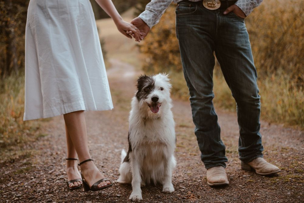A white fluffy dog stands between two people on a mountain trail.