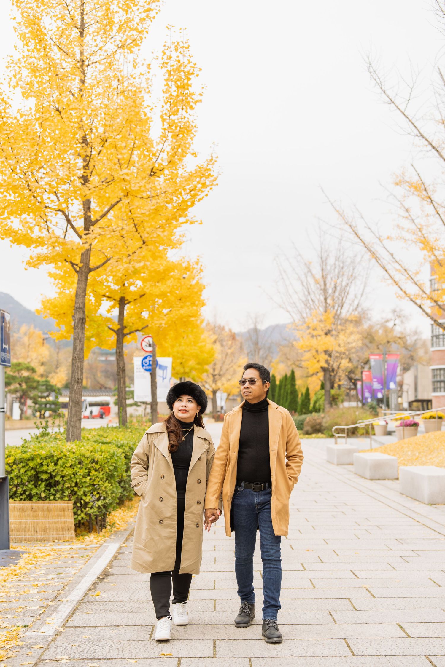 A couple walks together on a stone path during autumn with bright yellow ginkgo trees overhead in an urban setting.