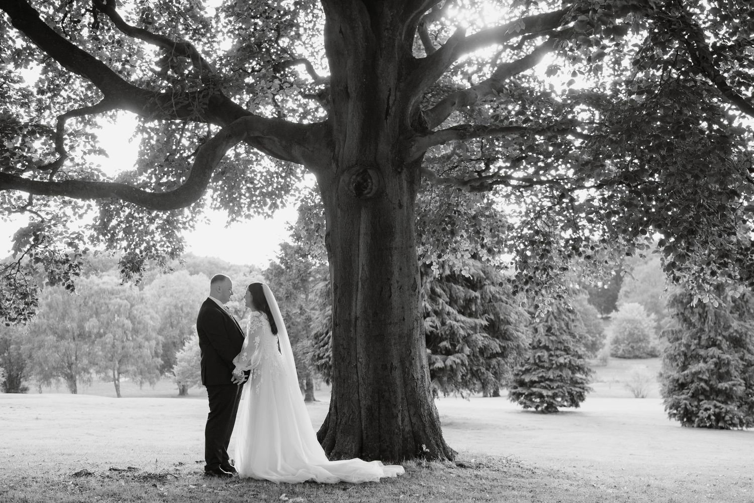 Bride and groom share an intimate moment under a large oak tree in a black and white wedding photo.