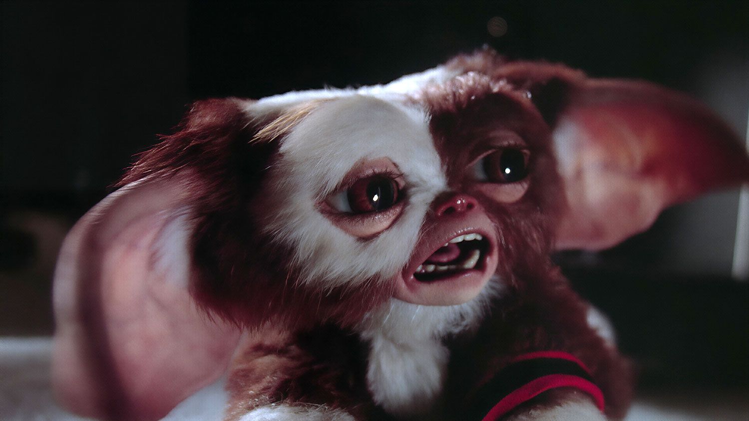 Gizmo Multiplying Puppet - The Gremlins Museum