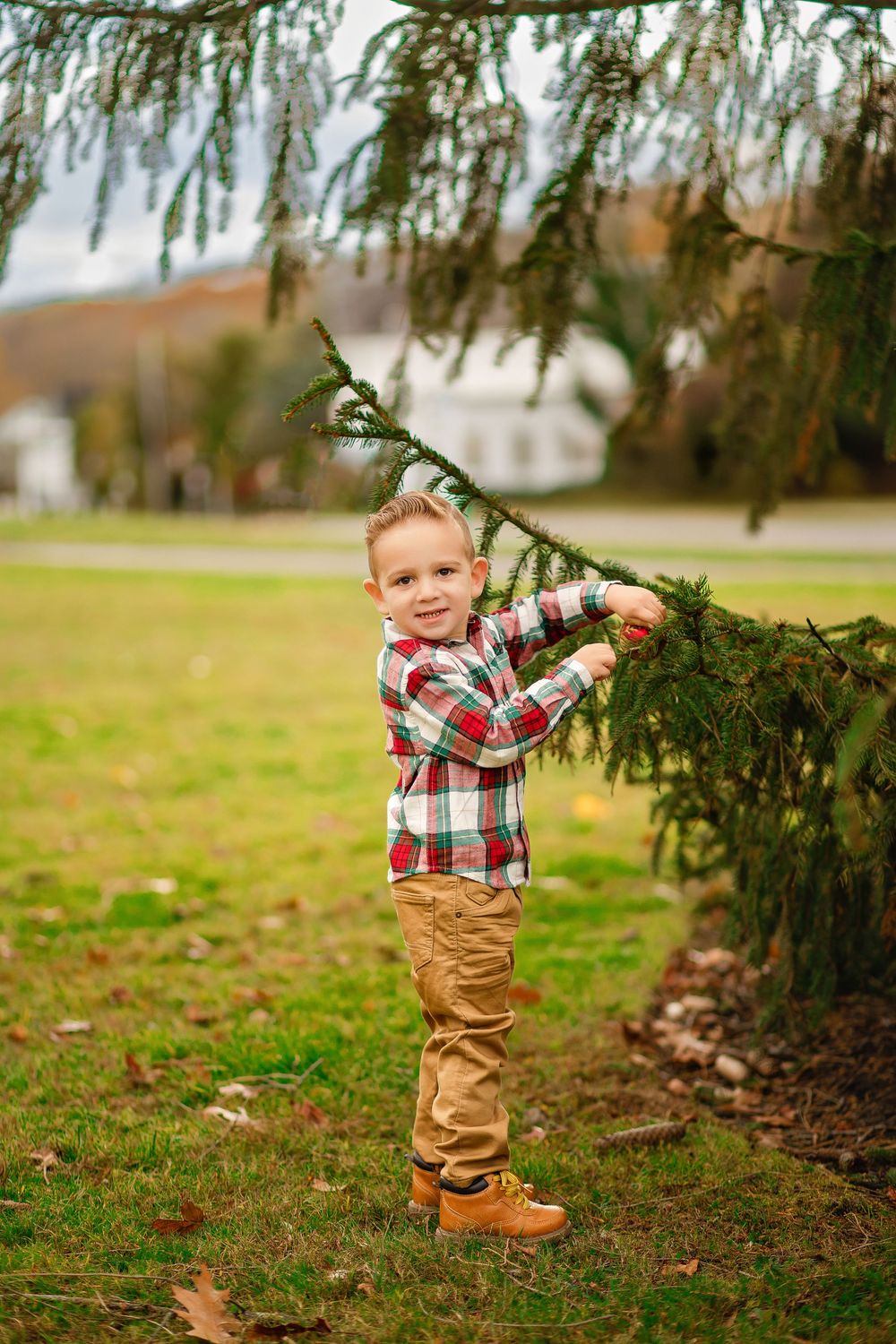 A child in plaid and khakis plays beneath evergreen branches in a grassy field on an autumn day.