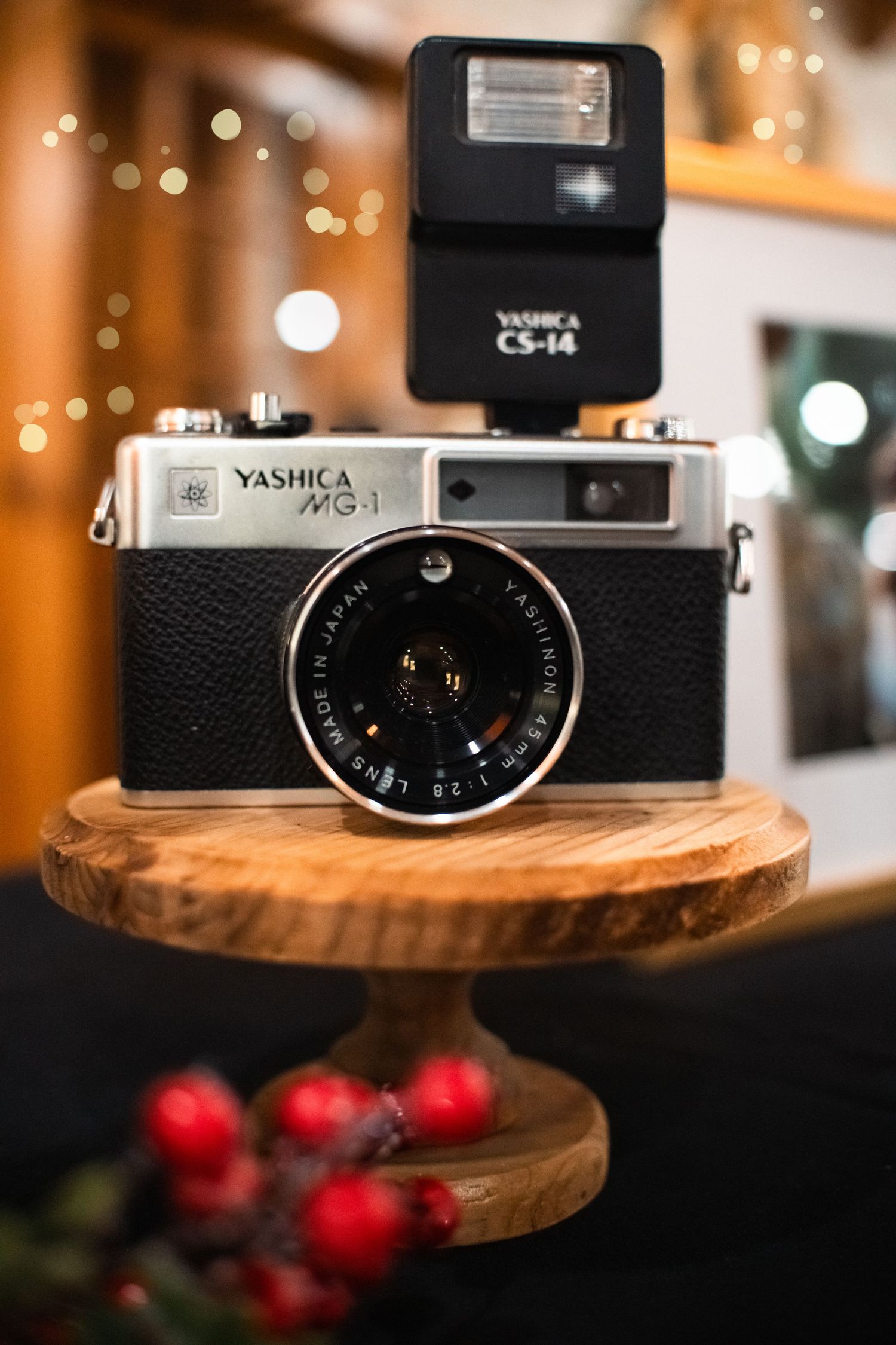 Vintage Film Camera