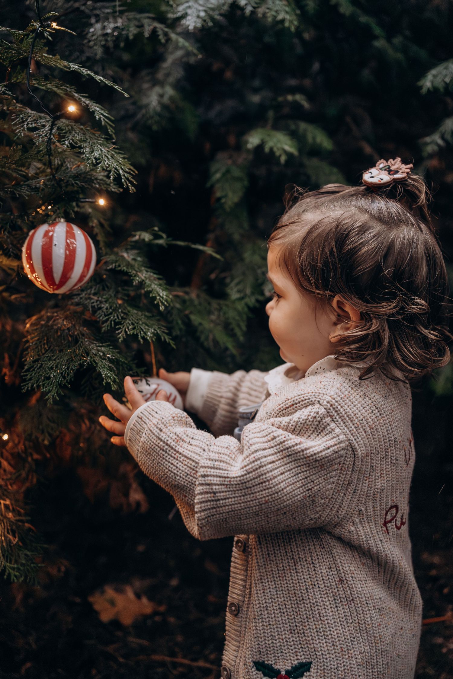 Hand in red sweater sleeve arranges warm glowing Christmas lights on evergreen pine branches.