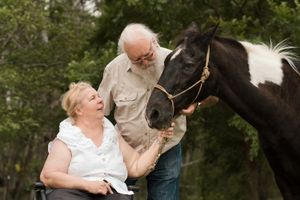 A couple shares tender moments with a horse in an outdoor photos during a sunset photoshoot with a horse in Sydney
