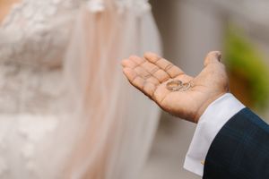 A sequence of hands in formal attire performing different gestures and poses against a blurred background.