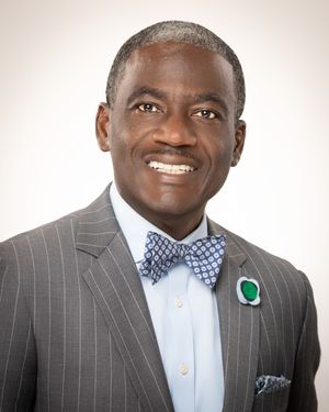 Professional headshot of someone in a pinstripe suit with light blue shirt and patterned bow tie, smiling warmly.