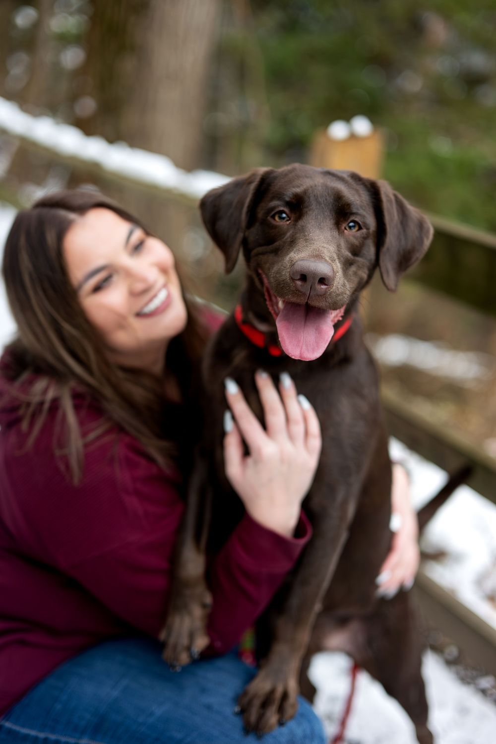 Smiling woman in burgundy jacket hugs happy chocolate Labrador by snowy wooden fence outdoors.