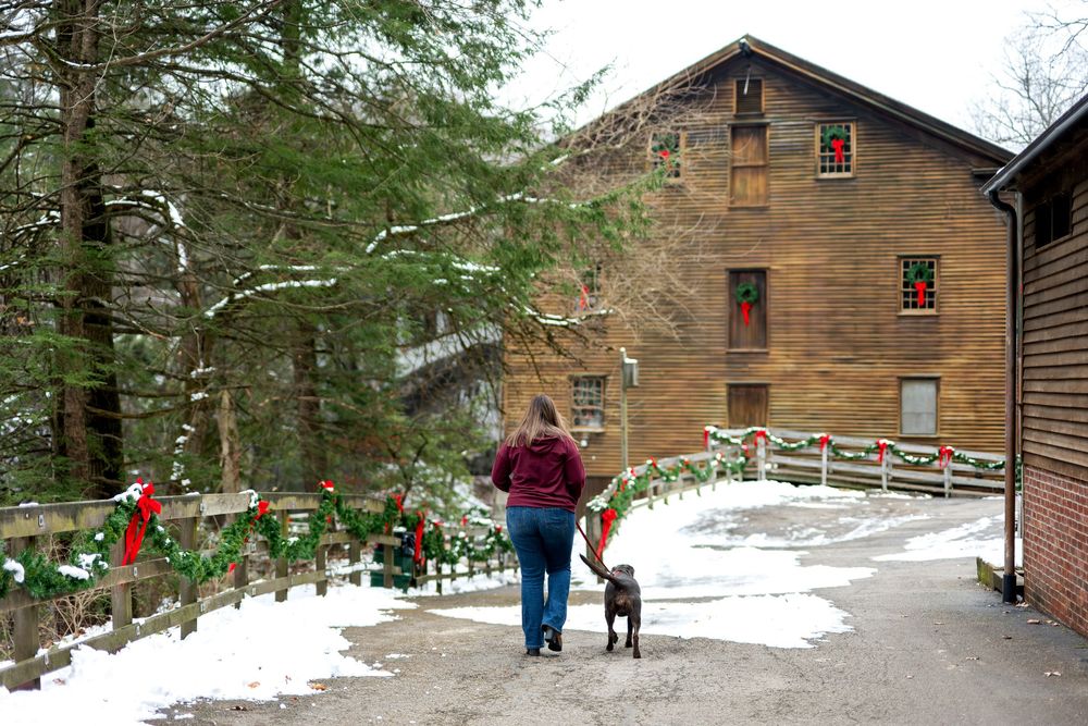 Woman walks chocolate Labrador on leash past holiday-decorated fence toward rustic mill in snow.