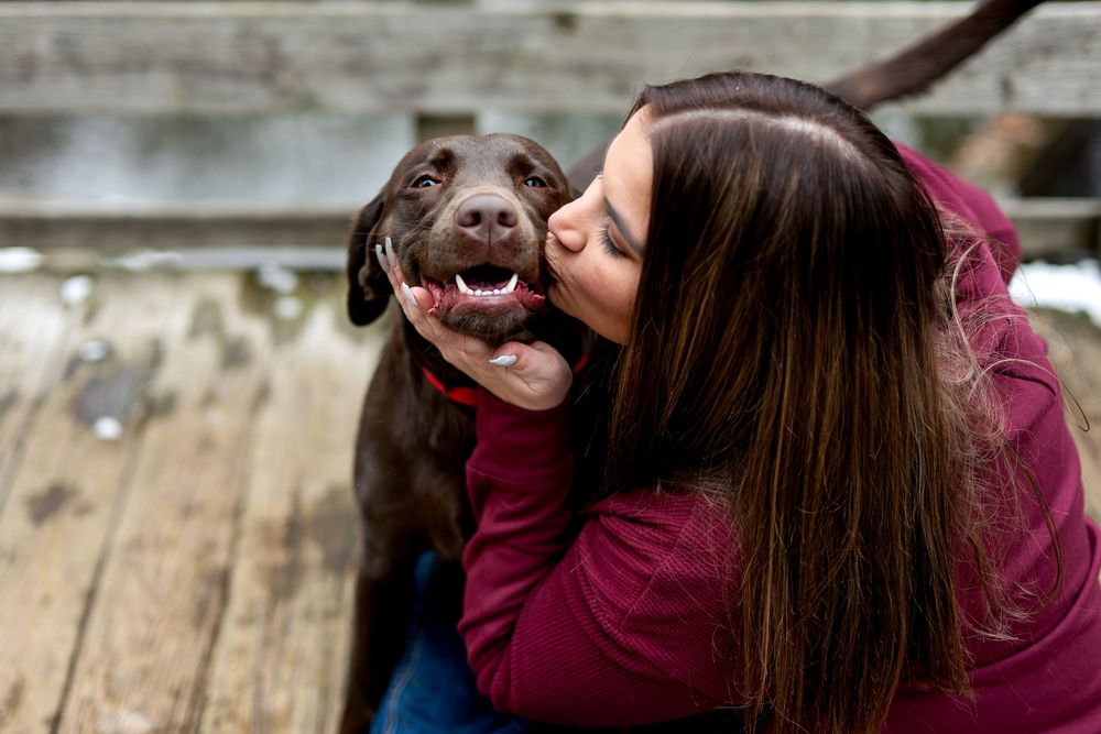Woman in burgundy top kisses smiling chocolate Labrador Retriever on wooden deck outdoors.