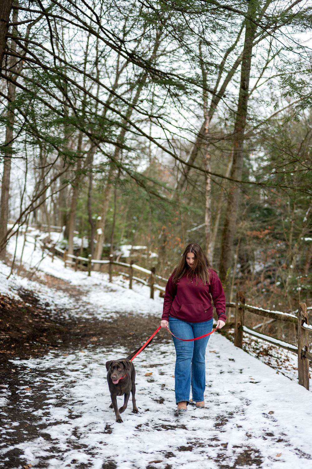 Woman in burgundy sweatshirt walking chocolate Labrador on red leash through snowy forest trail.