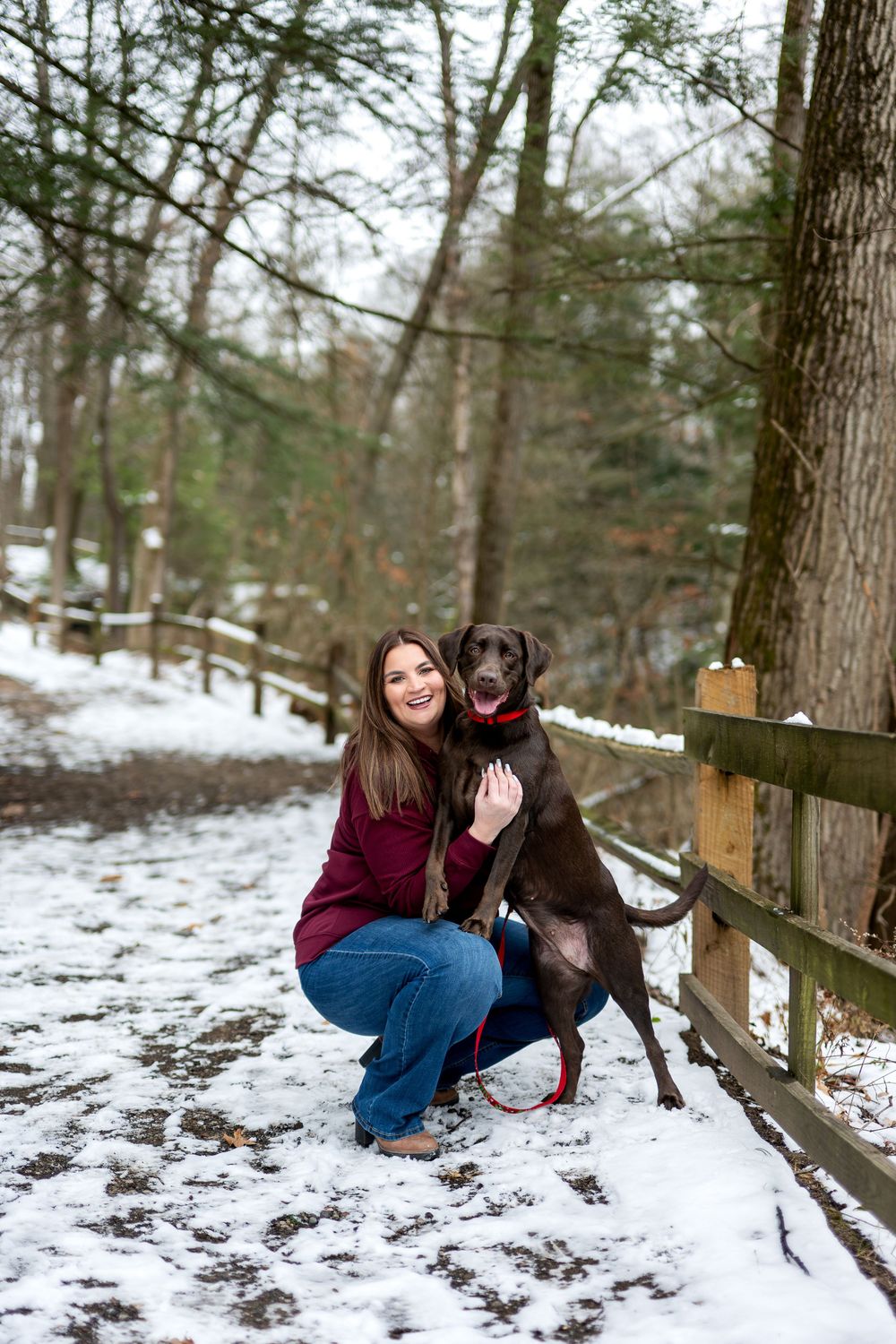 Woman in burgundy jacket crouches with chocolate Labrador by snowy woodland fence in winter.
