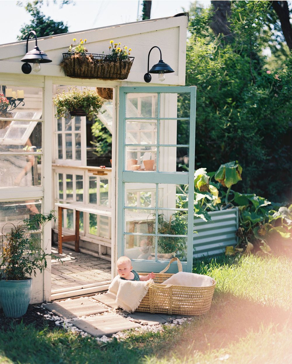 White greenhouse structures with blue trim sit in a sunlit garden surrounded by greenery and hanging baskets.