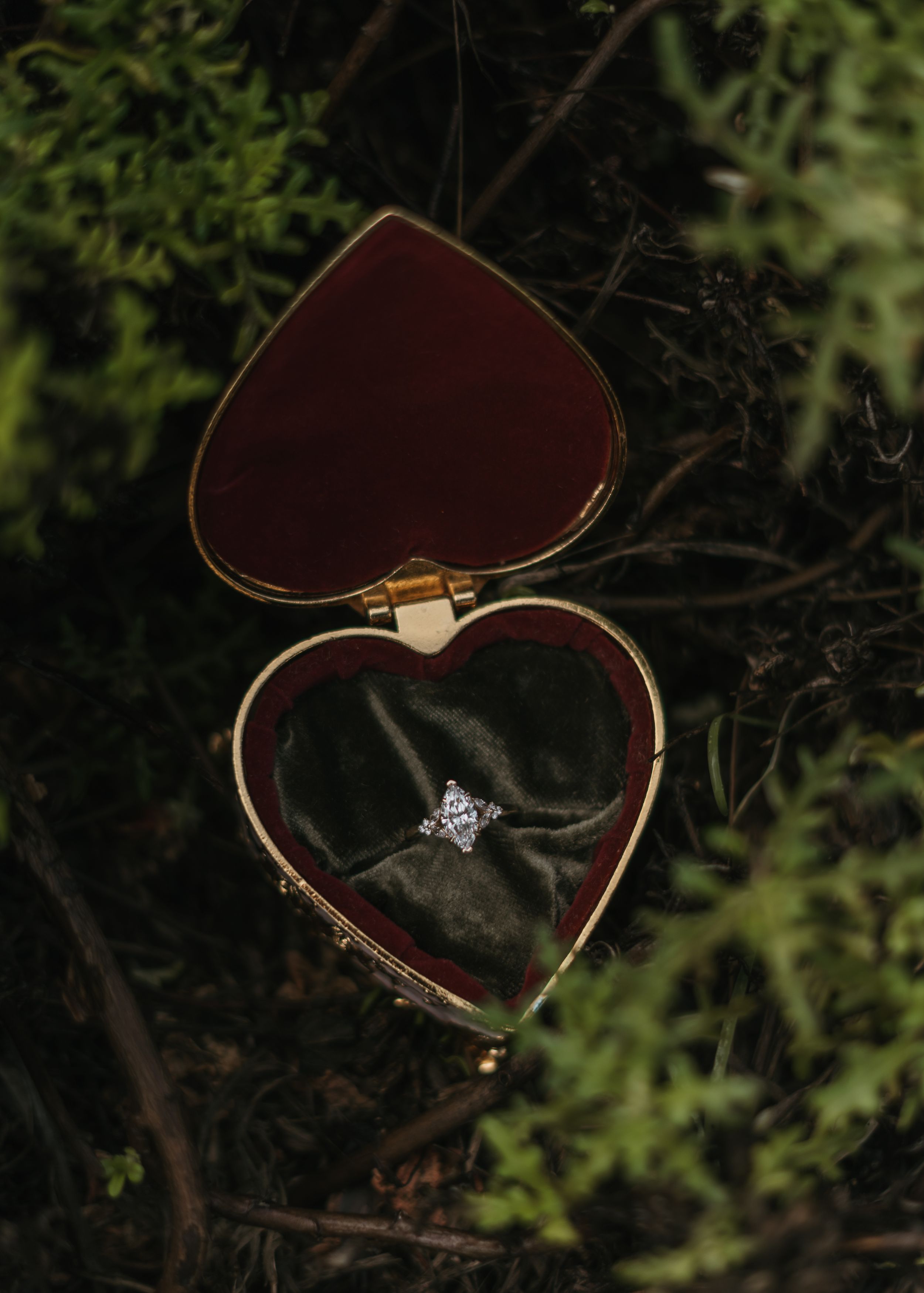 A sequence of heart-shaped jewelry boxes opening to reveal an engagement ring against a dark leafy background.