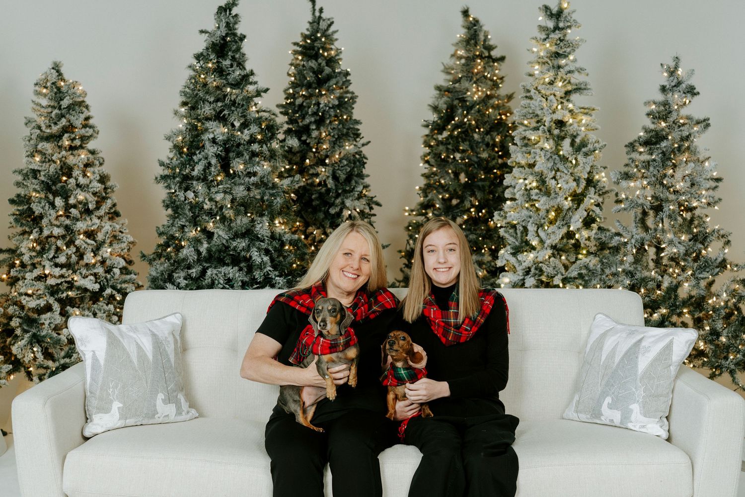 Three decorated Christmas trees create a festive backdrop for white chairs arranged for a holiday event or ceremony.