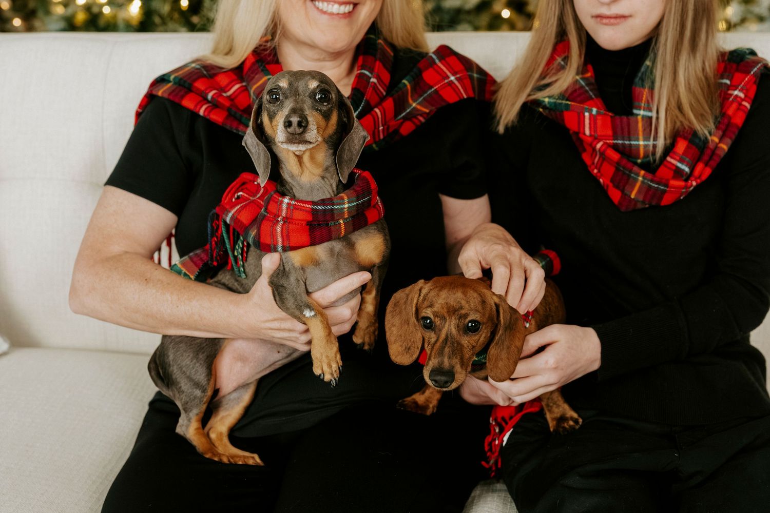 A dachshund puppy poses with people wearing red plaid flannel shirts during a holiday photo session.
