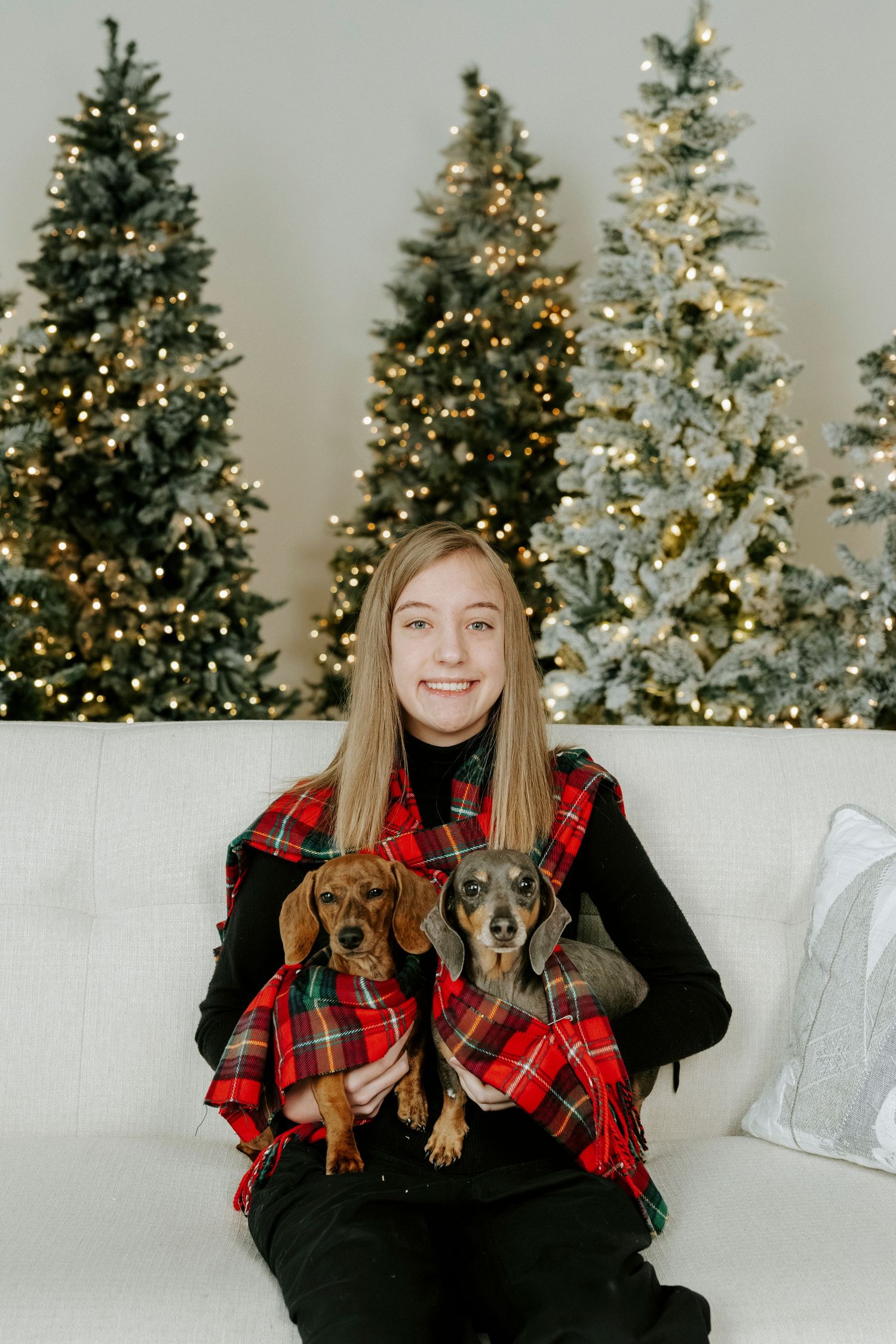 Three cozy holiday photos feature a plaid-wearing figure with two small dogs against a backdrop of lit Christmas trees.