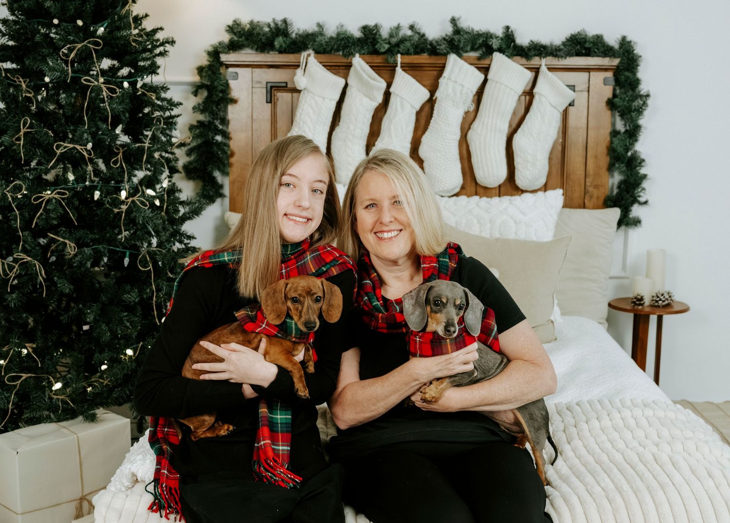 Two people pose with small dogs on a bed with Christmas stockings and a decorated tree in the background.