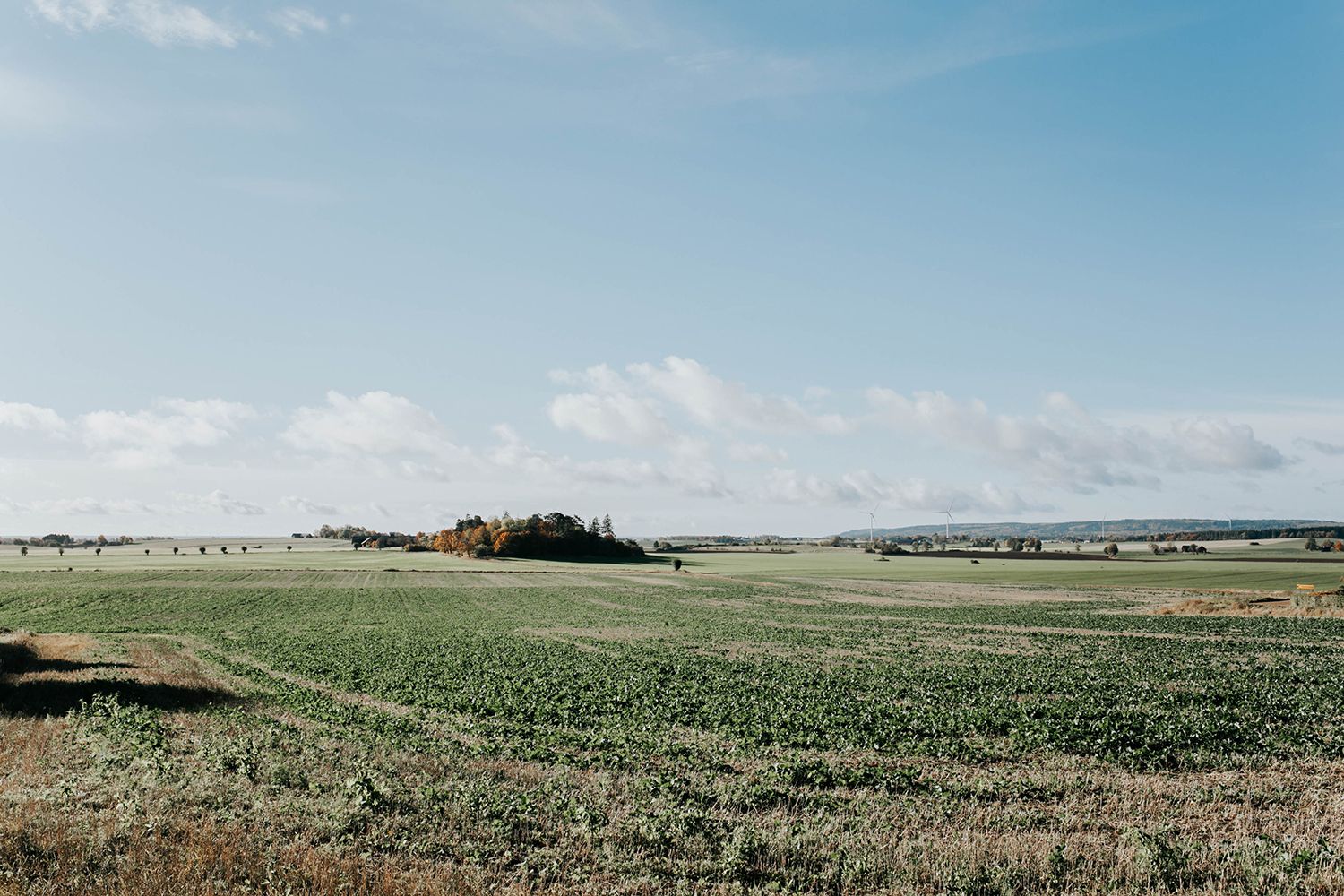Bröllop Vadstena. Alvastra kloster och Örberga kyrka. Bröllopsfotograf Rebecca Nordin.