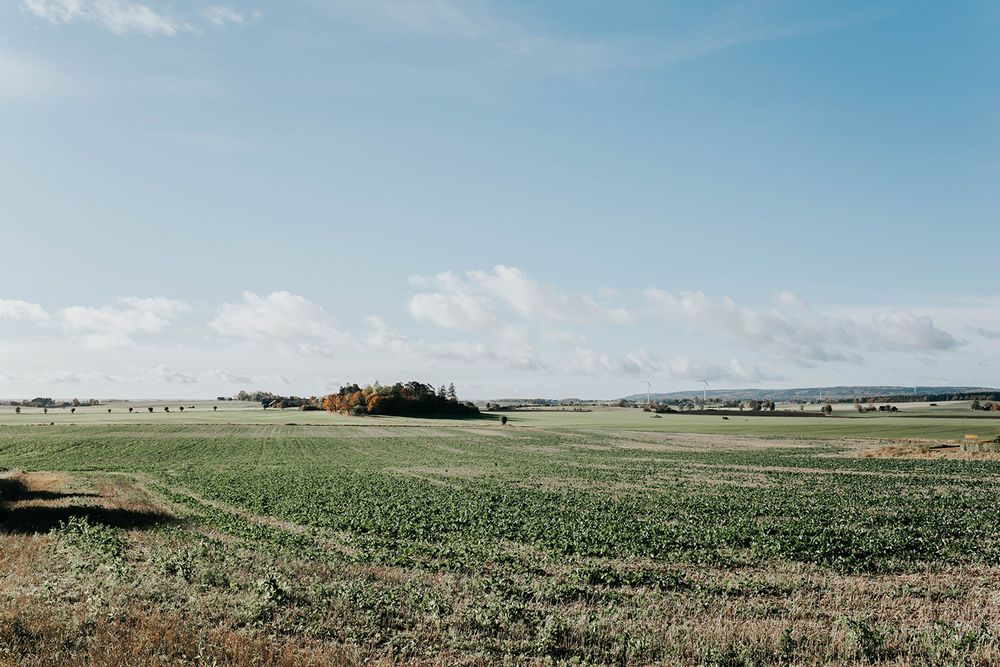 Bröllop Vadstena. Alvastra kloster och Örberga kyrka. Bröllopsfotograf Rebecca Nordin.