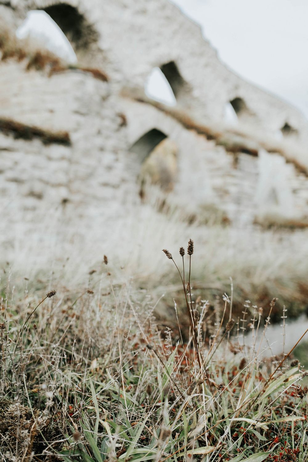 Bröllop Vadstena. Alvastra kloster och Örberga kyrka. Bröllopsfotograf Rebecca Nordin.