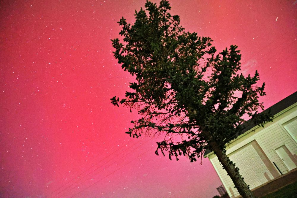 Northern Lights