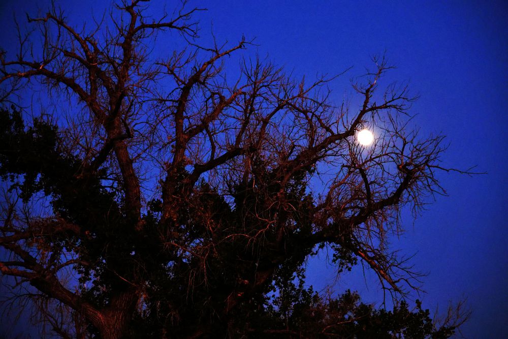 Full Moon