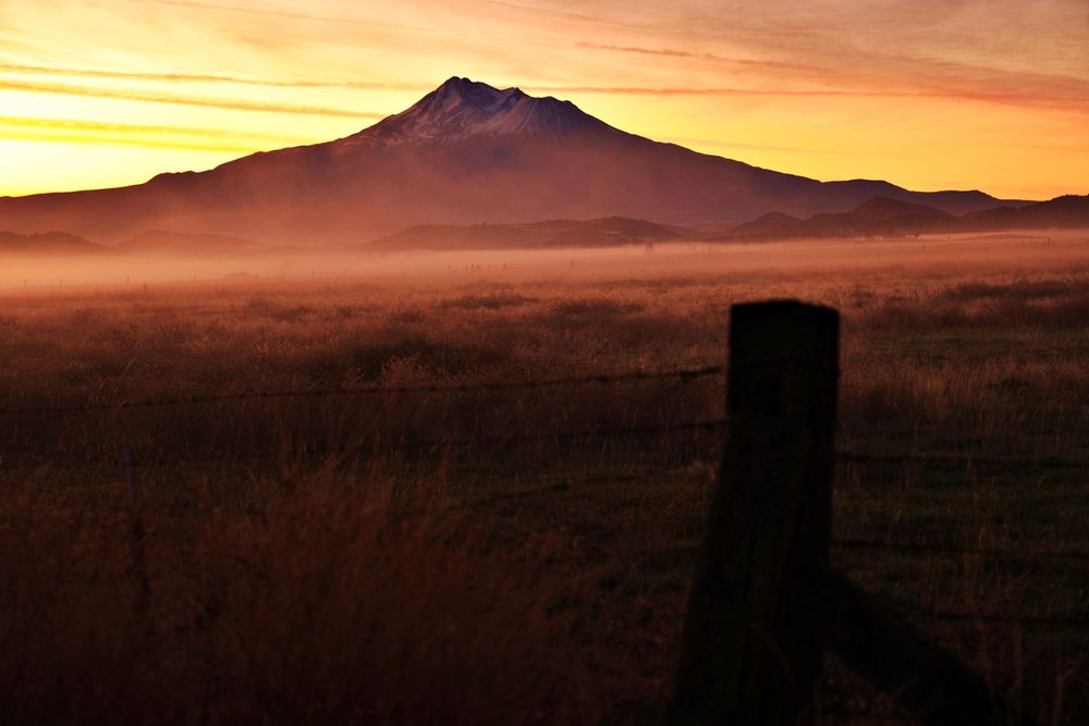 Mt. Shasta