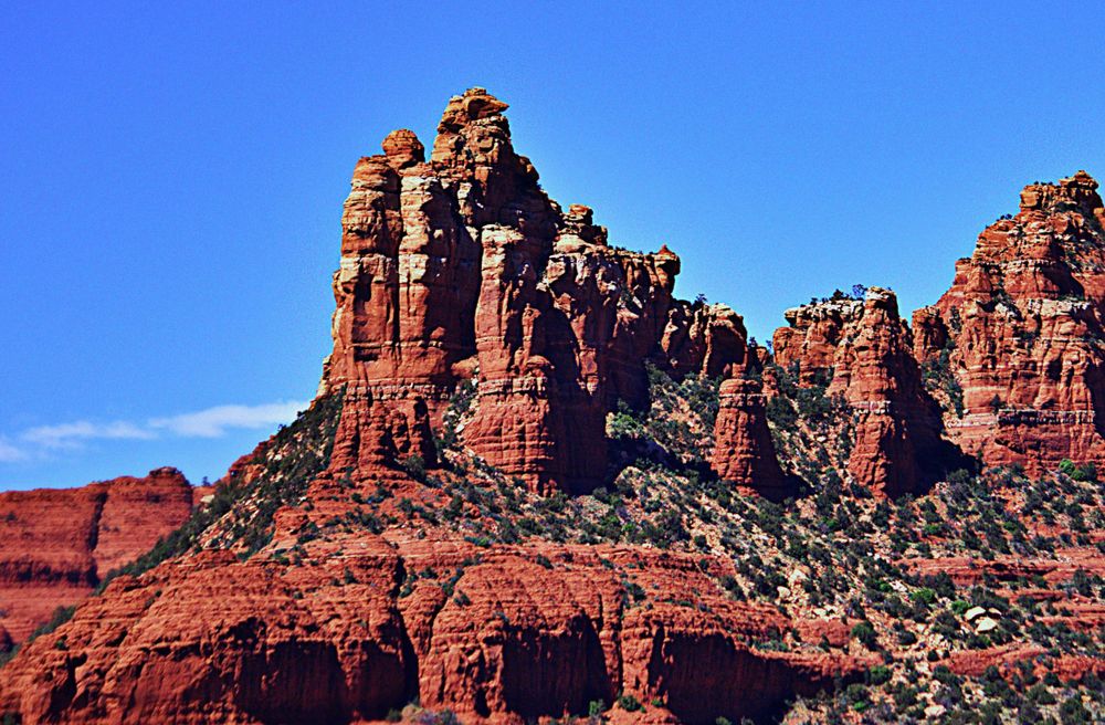 Arizona Desert