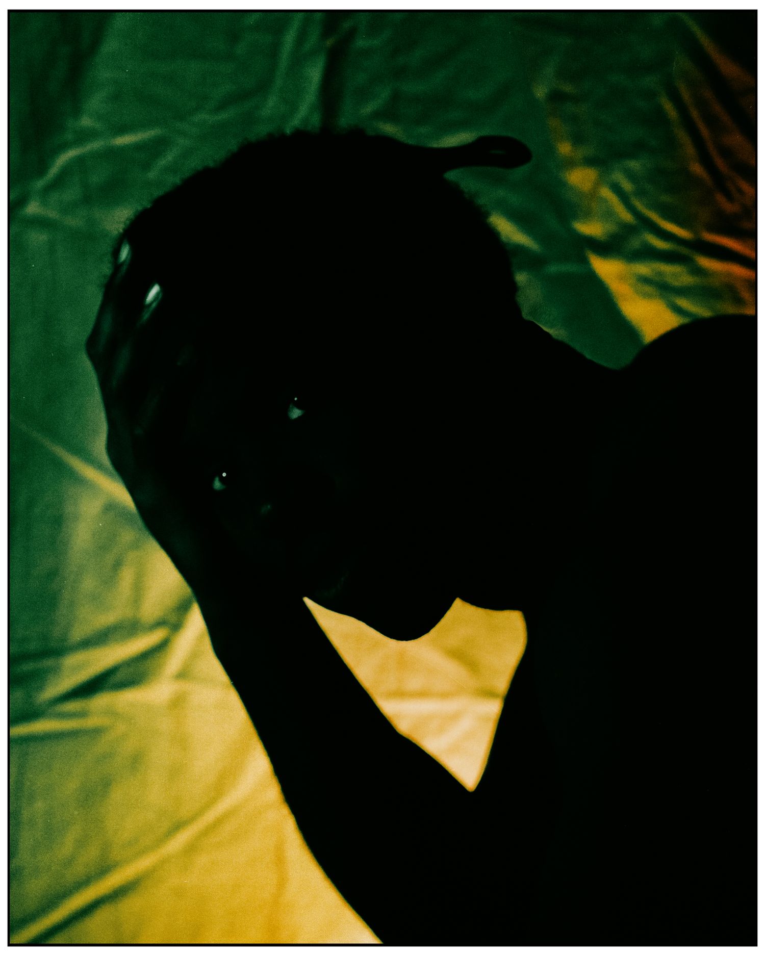 A dramatic silhouette of a person holding their head against a green and yellow fabric background.