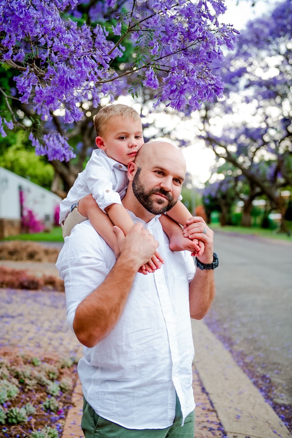 Dad carrying his toddler on his shoulders with purple Jacaranda flowers in the background.