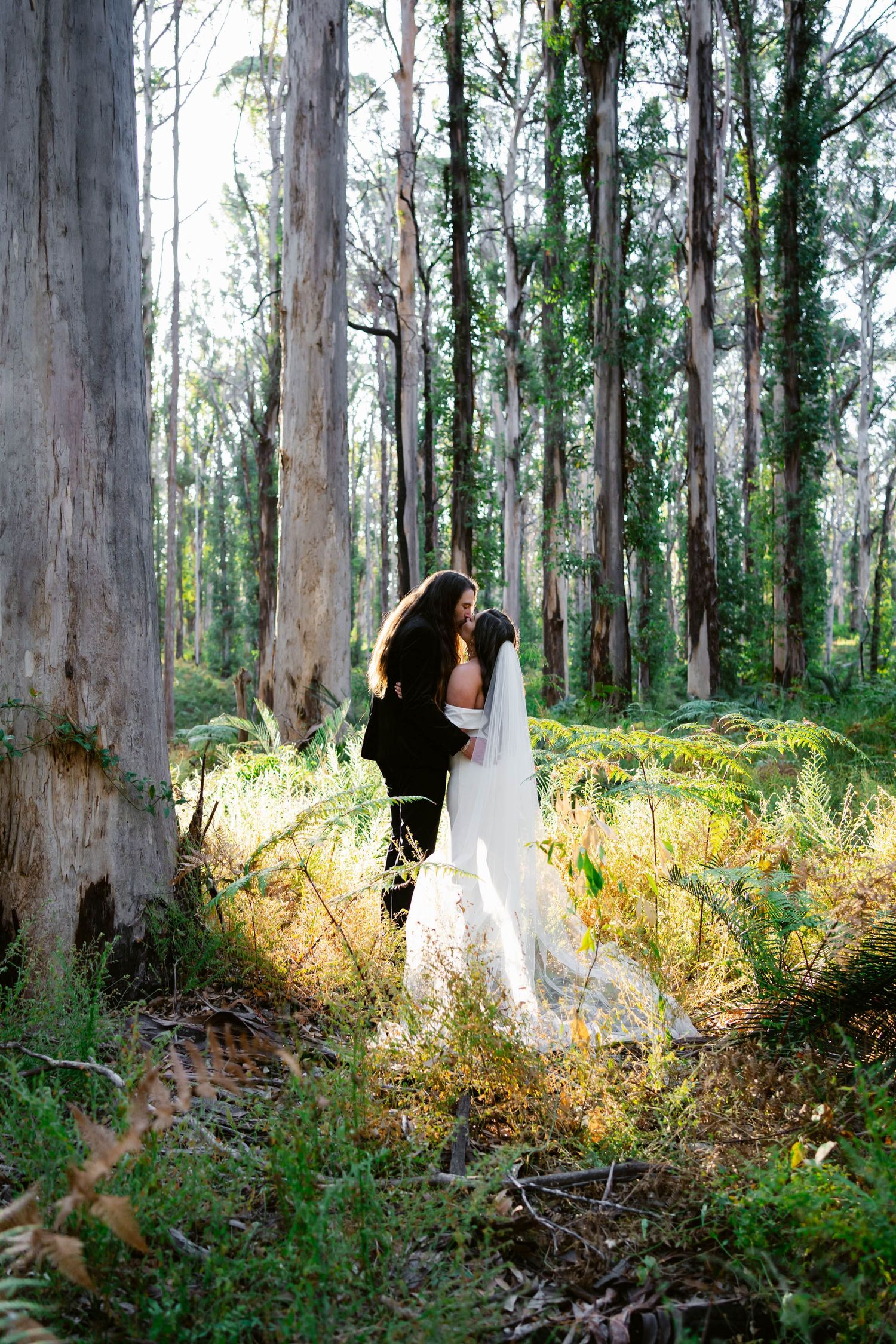 A couple in wedding attire embraces in a sunlit eucalyptus forest with tall trees and golden light filtering through.