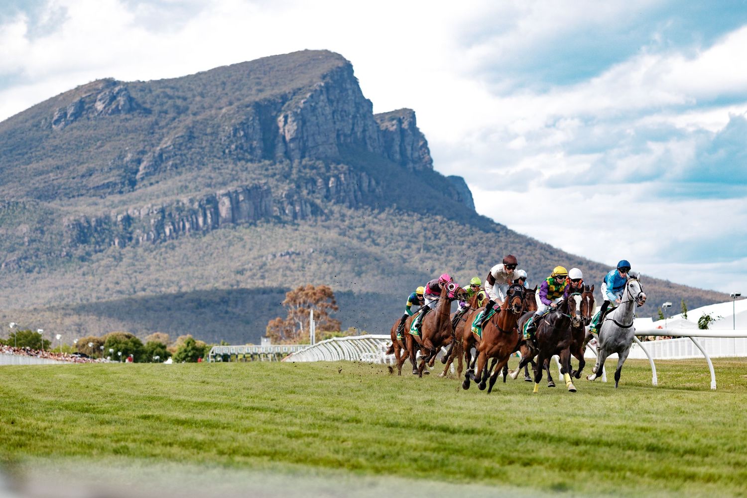 Group of horses racing across a scenic mountain landscape under blue skies. Dunkeld Races, Spring racing