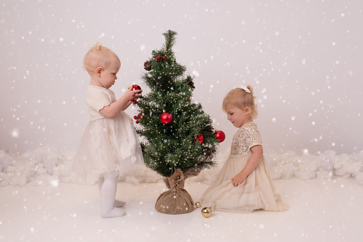 Christmas photoshoot Aberdeen