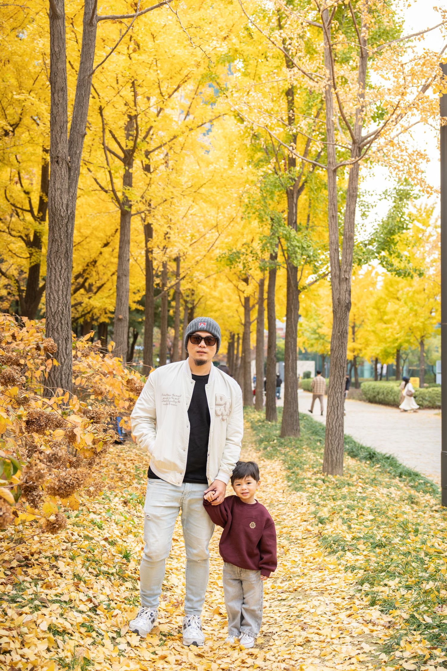 Autumn pathway lined with golden yellow trees and fallen leaves creates a scenic fall landscape.