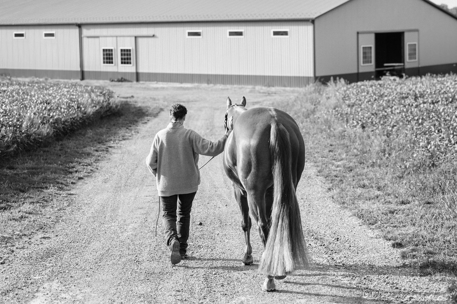 A series of grainy black and white photos showing figures walking along rural dirt paths and farm buildings.