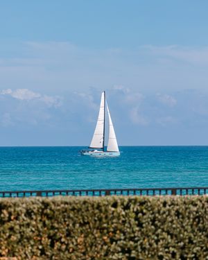 A white sailboat glides across turquoise waters on a sunny day, viewed through tropical foliage in the foreground.