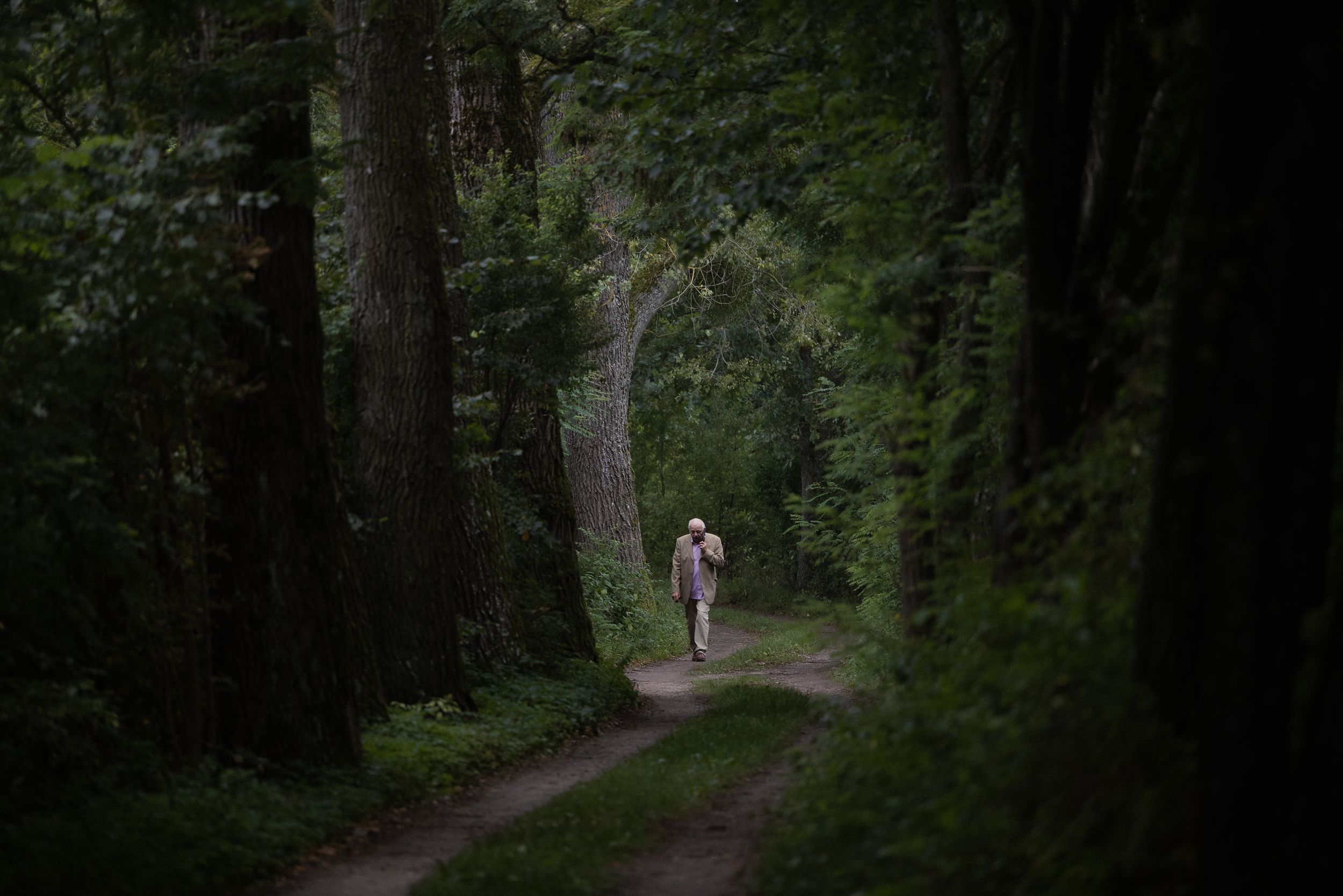 A person walks along a winding dirt trail through a dense, green forest on a sunny day.