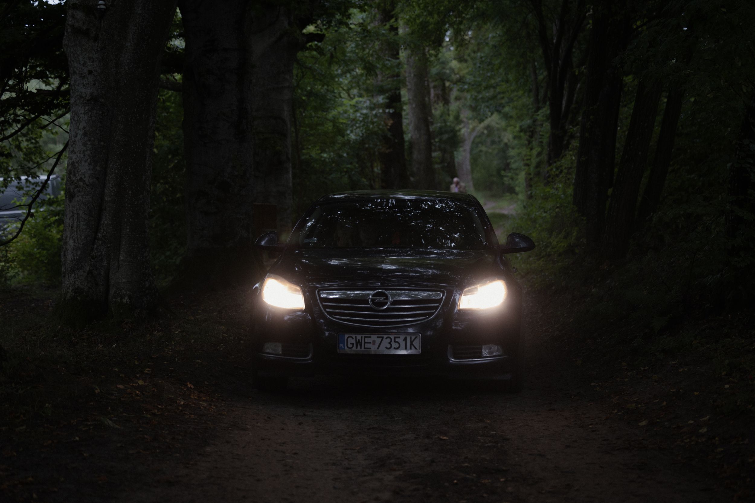 Car headlights illuminate a dark forest road at night creating an eerie atmospheric scene.