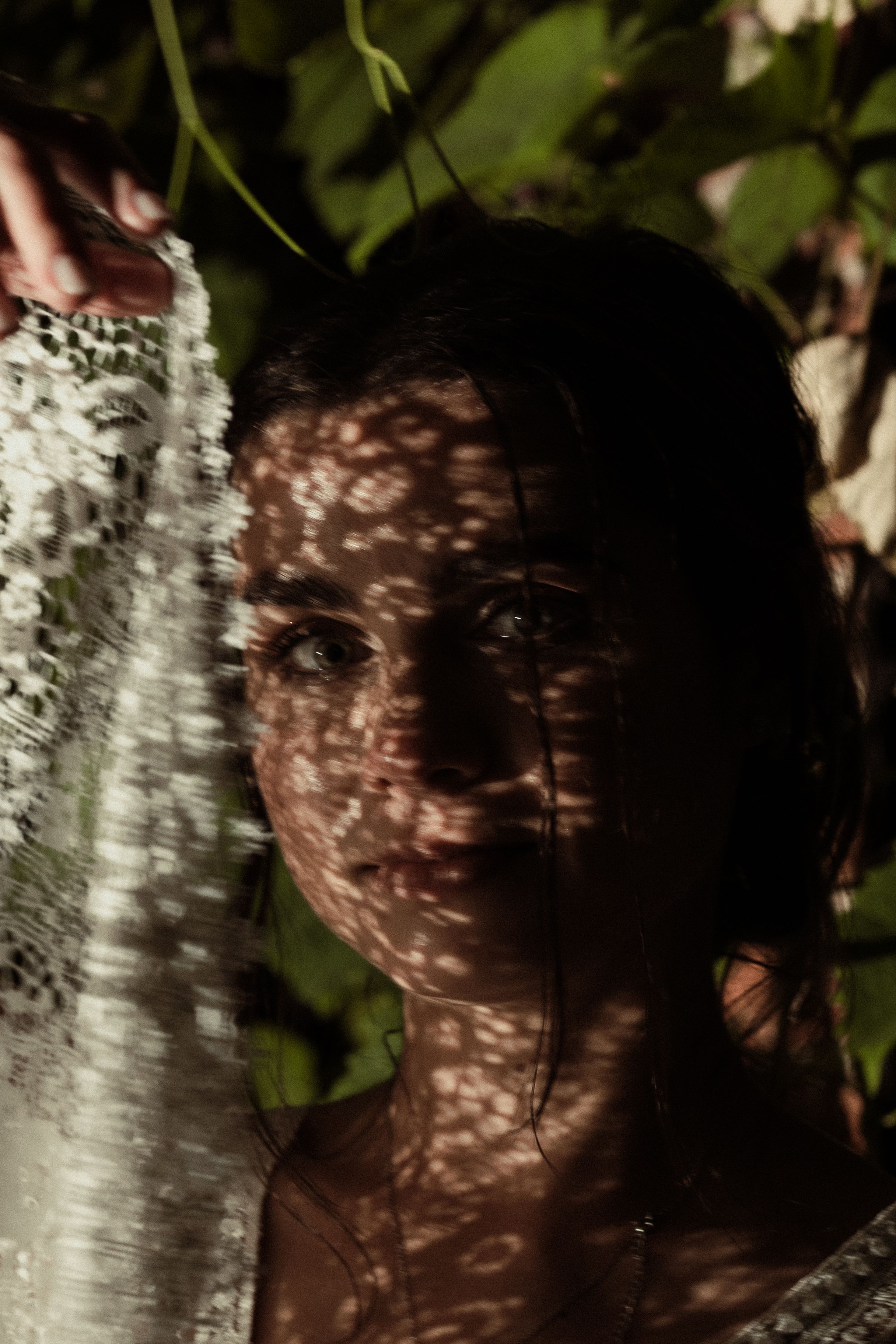 Dappled sunlight creates intricate patterns through tree leaves casting dramatic shadows on a birch tree trunk.