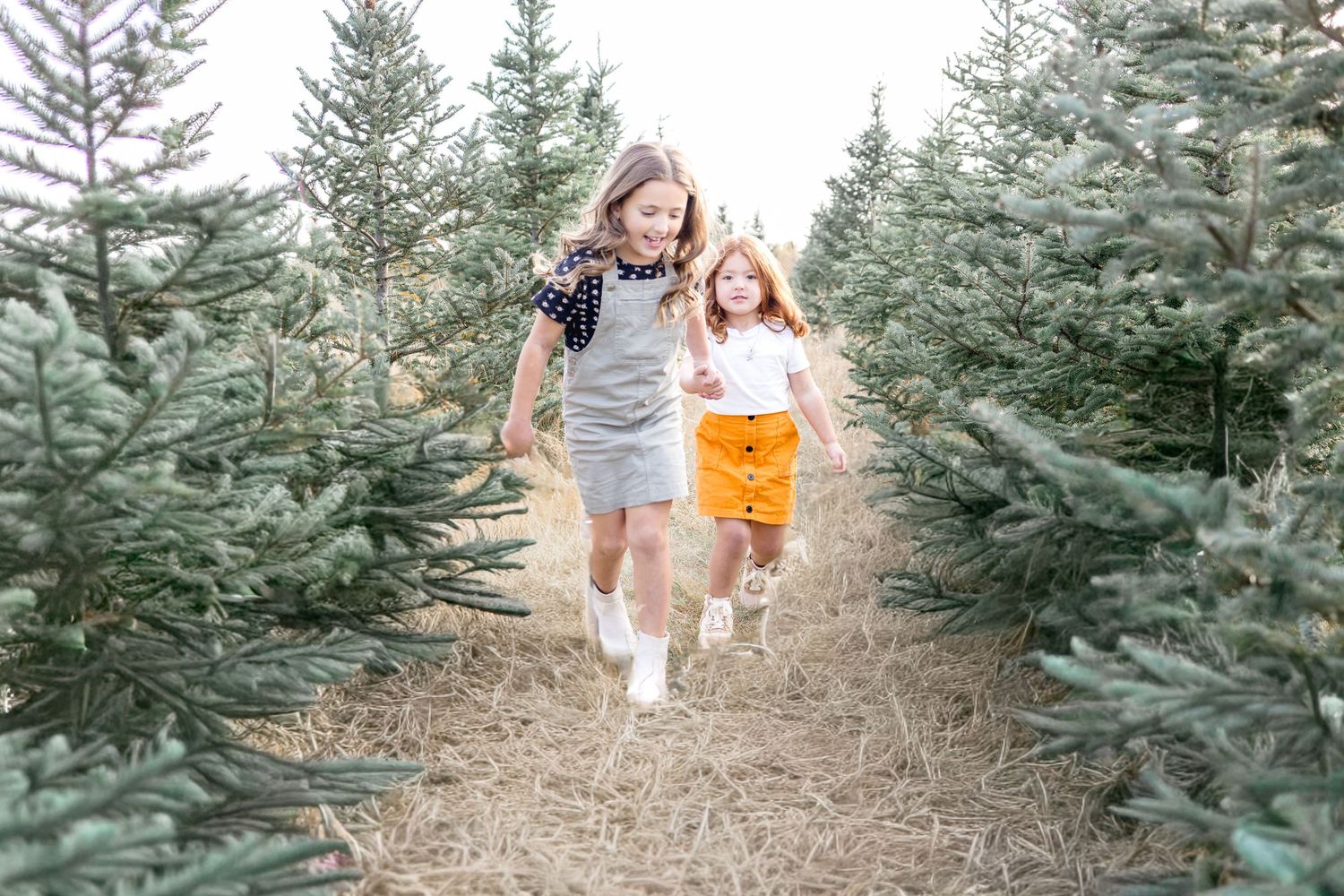 Two people running joyfully through rows of evergreen trees.