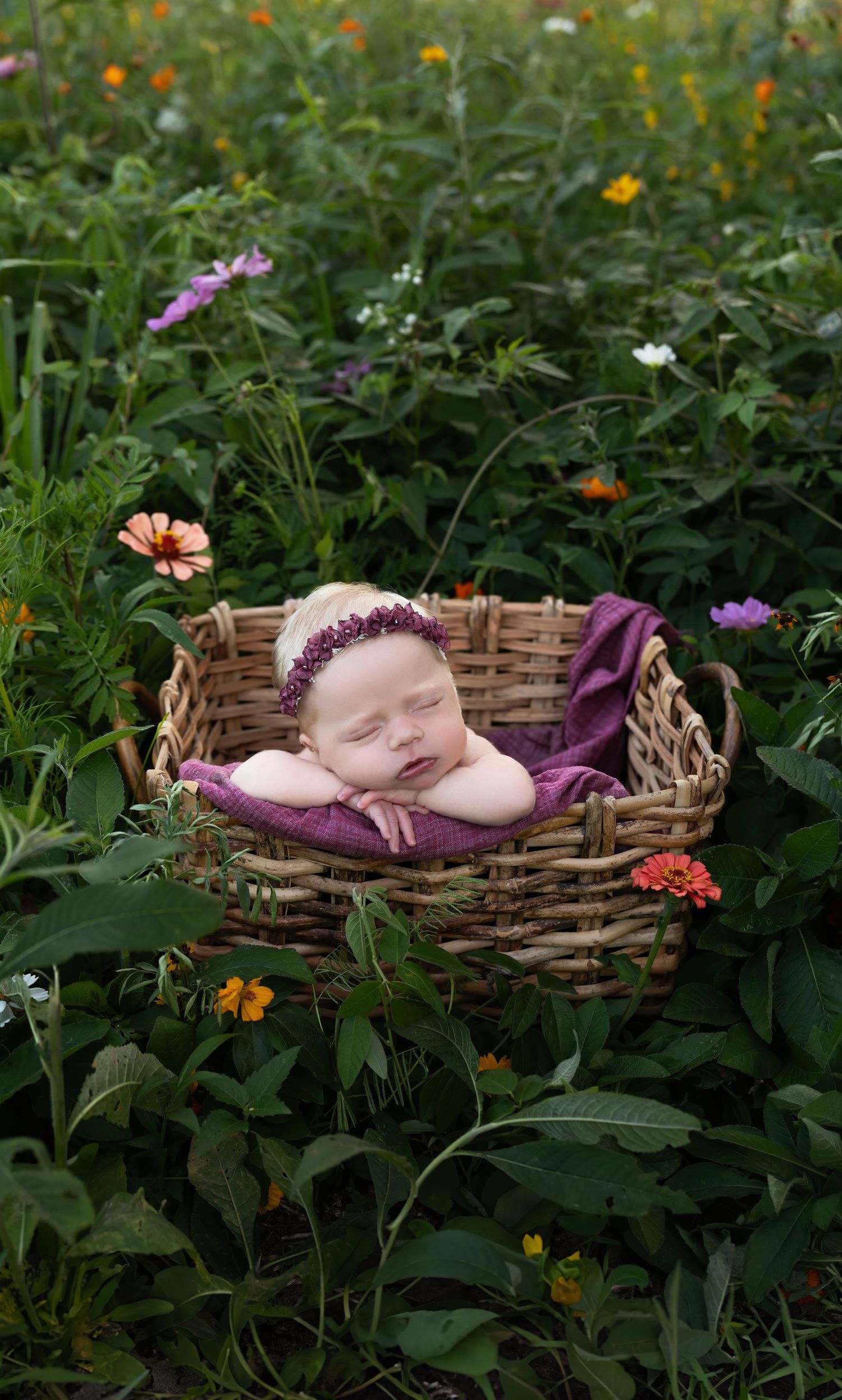 Newborn Photographer
Cake Smash Photographer
Maternity Photographer
Kentucky Photographer
Richmond Kentucky 
Berea kentucky
Lexington KY