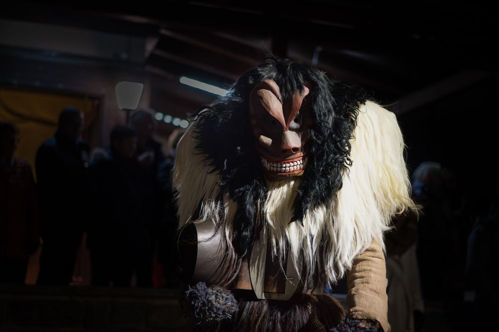 Group of dark furry show dogs walking and being presented in a dimly lit indoor competition setting.